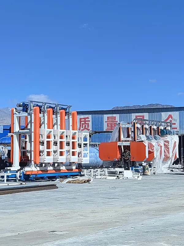 Projects for EPS Foamed Concrete Block & Wall Panel Production